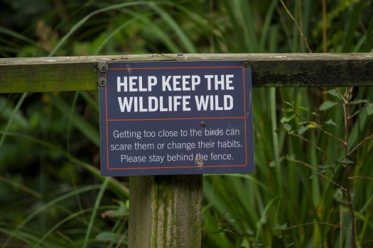 Help Keep the Wildlife Wild sign