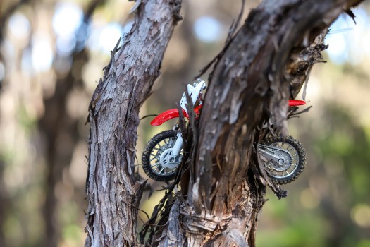 Red toy dirt bike in a tree branch