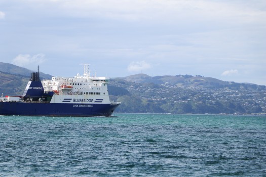 Bluebridge ferry in the waters