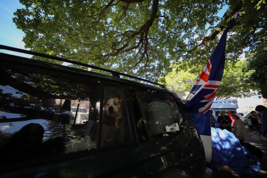 Vehicle with NZ flag - Convoy 2022 protest