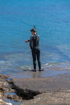 Snorkelling at the Bay