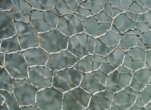 Wire netting