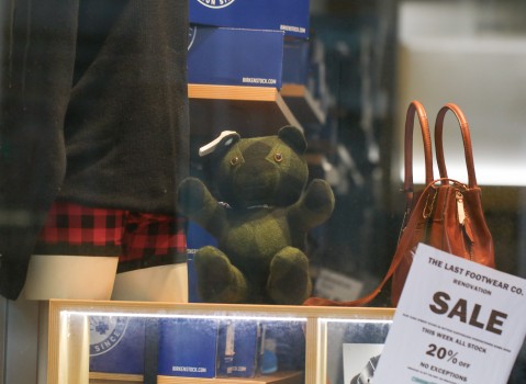Teddy bear in shopfront display