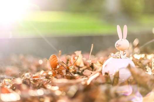 Toy Easter bunny on dried leaves