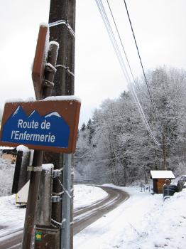 Snow covered road sign trees and utility pole at the Swiss Alps