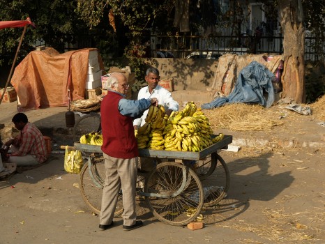 Road Side Fruit Seller, Agra, India