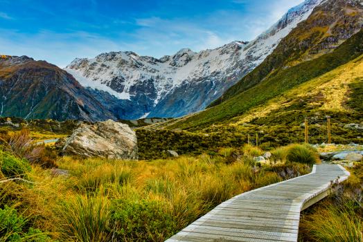 Hooker valley - the way forward