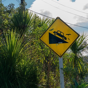 Steep road sign with bats on Waiheke Island