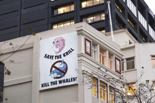 Save the krill!