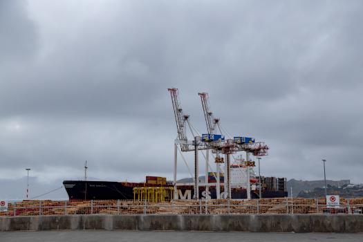 Logs cranes and a ship