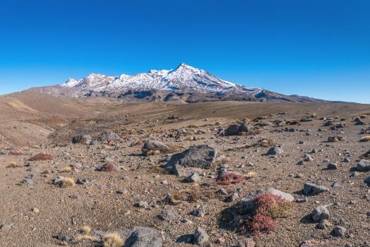 View west to Mount Ruapehu