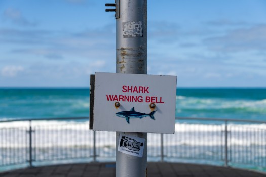 Sign shark warning bell