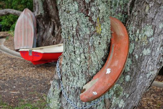 Boats and a mossy tree trunk with a horseshoe shaped metal object