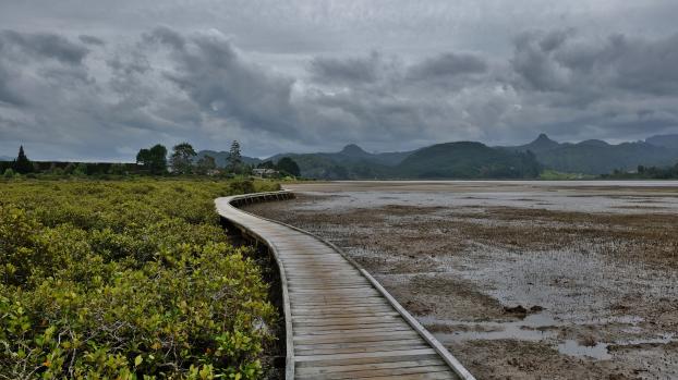 Cloudy day and a wooden walkway