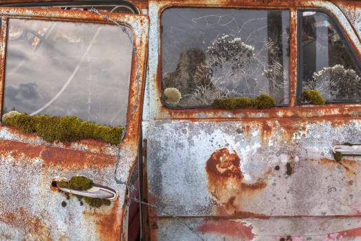 Rust and lichens on car, Horopito