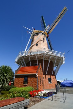 De Molen Windmill with flower arrangement