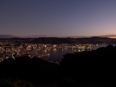 Wellington at Dawn from Mt Victoria