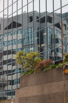 Vegetation in front of glass building