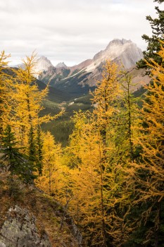 Mountain scene in Autumn