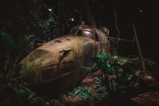 Old aircraft in the jungle
