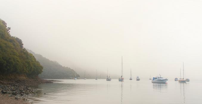 Misty Waikawa Bay