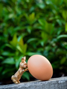 Easter Bunny Egg Covid Uncertainty Creative