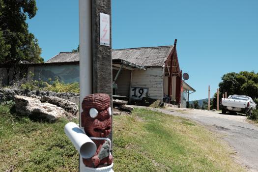 Maori sculpture and electric pole at Whakarewarewa
