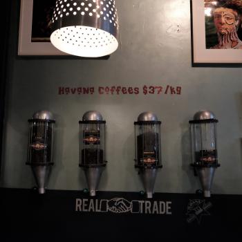 Coffee bean dispensers at a coffee shop