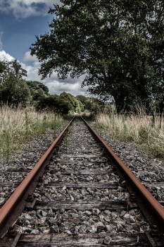 Train travel on the Forgotten World Highway