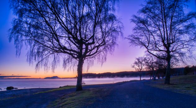 Purple hues at dawn by the Lake