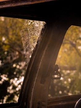 Abandoned Vehicle Window Rust
