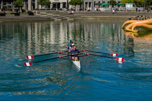 Rowers in the lagoon