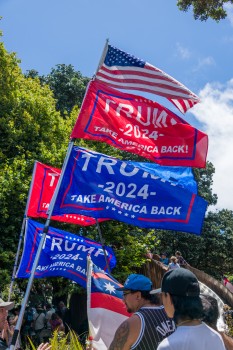 Protest Trump 2024 flags