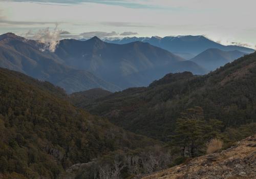 Mountain View, Te Araroa Trail