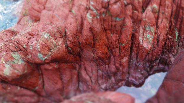 Red rocks looking like meat at Owhiro Bay