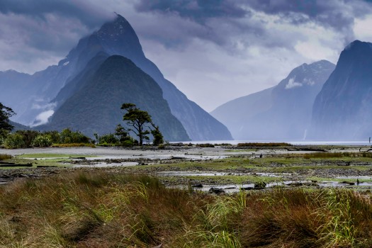 Milford Sounds Foreshore