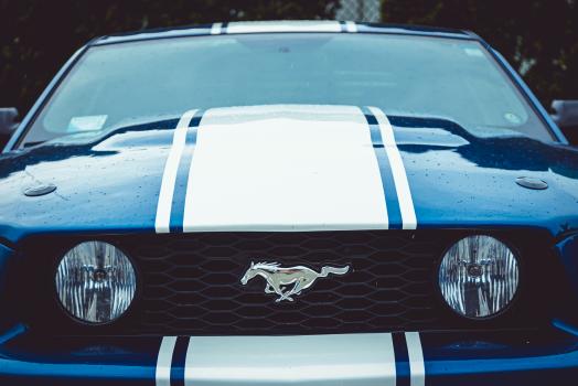 Mustang headlights and logo