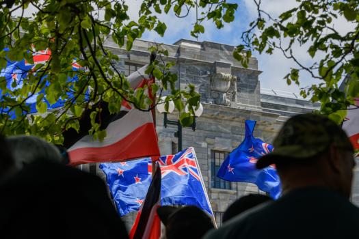 Flags at Parliament