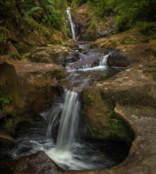 Waterfall, Kaimai Range, 