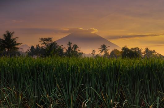 Mt Agung closeup at dawn