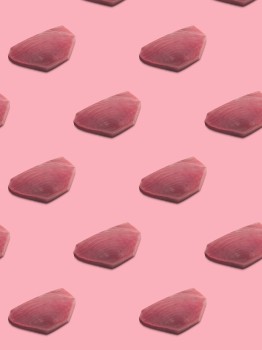 Tuna fillets aligned on pink background