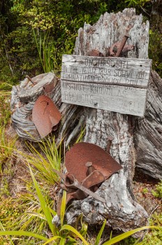 Mining relics, Wangapeka Track