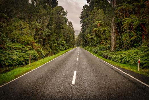 Highway through the rain forest