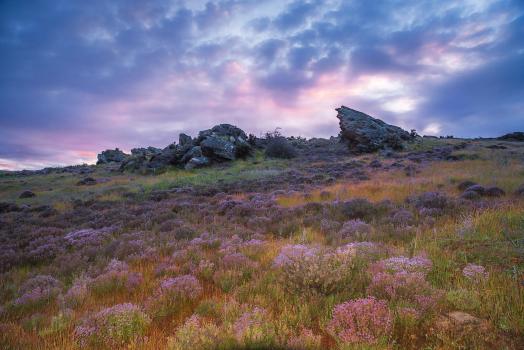 Bannockburn rock at dawn