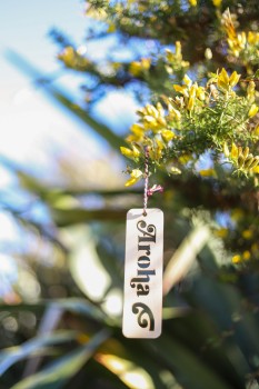 Aroha tag with gorse plant