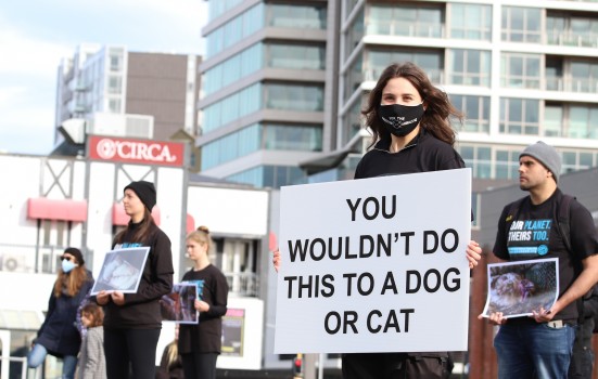 Female holding an animal rights placard, NARD