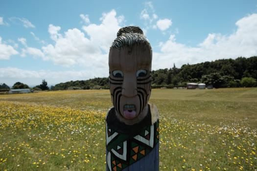 Maori culture statue Marae in dandelion field
