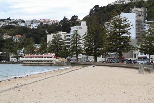 Oriental bay beach waterfront properties