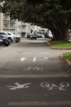 Bi-cycle and pedestrian path