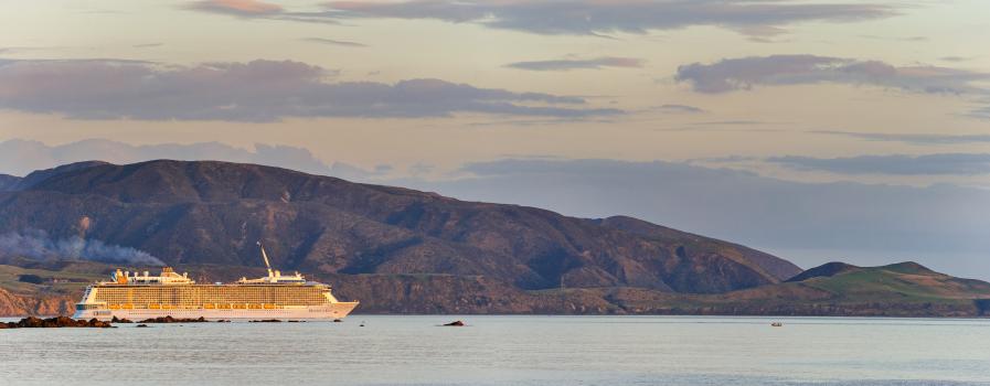 Cruise ship departing Wellington